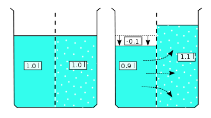 Fig.5: Fluid pressure of two different concentrations divided by a membrane (Source: Wikipedia)