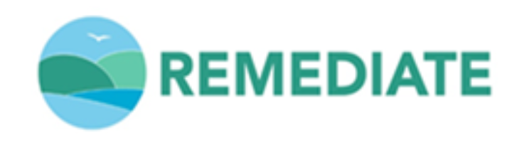 REMEDIATE Logo